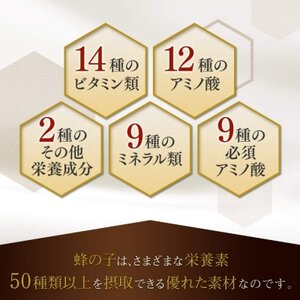 【毎月定期便】酵素パワー蜂の子 (21512)全3回【4008979】
