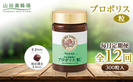 【毎月定期便】プロポリス粒 (486)全12回【4008980】