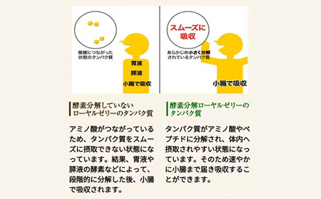 【毎月定期便】酵素分解ローヤルゼリーキング (560)全6回【4010072】