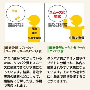 【毎月定期便】酵素分解ローヤルゼリーキング (560)全12回【4010073】