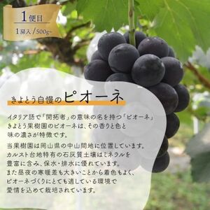 【発送月固定定期便】2026年先行予約　1房お試しピオーネ・シャインマスカット・紫苑(岡山産)全3回【配送不可地域：離島】【4061983】