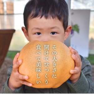 【2026年先行予約】あたご梨 上級品 3-6玉入(岡山県産)  お歳暮やギフトにもおすすめ【1559969】