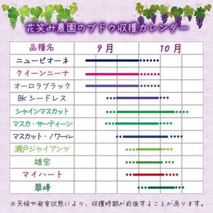 【2026年先行受付】岡山　花笑み農園の『BKシードレス』優品　約2kg(3～5房)　B-2優【配送不可地域：離島・北海道・沖縄県】【1593502】