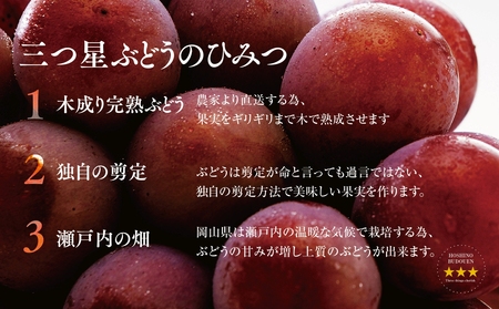 【先行受付】プレミアム星乃クイーンニーナ 数量限定 1房(700g)【配送不可地域：離島・北海道・沖縄県】【1601598】