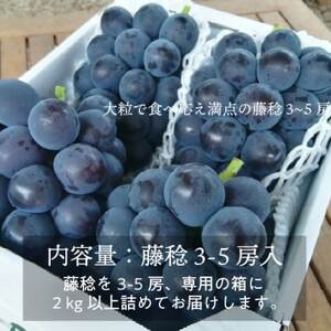 【2026年先行予約】ボッケーネ(藤稔)大粒で食べ応え満点 3-5房/計2.0kg～(岡山県産)【配送不可地域：離島】【1602833】