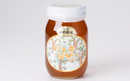 津山市産 山蜂蜜 600g【1605221】