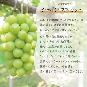 【2026年先行予約】訳あり品 シャインマスカット/約2.2kg(岡山県産)【配送不可地域：離島】【1602735】