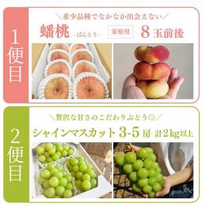 【発送月固定定期便】【きよとうファーム】蟠桃とシャインマスカットのご家庭用を岡山から産地直送全2回【配送不可地域：離島】【4065821】