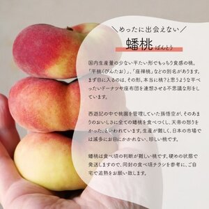【発送月固定定期便】【きよとうファーム】蟠桃とシャインマスカットのご家庭用を岡山から産地直送全2回【配送不可地域：離島】【4065821】