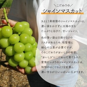 【発送月固定定期便】【きよとうファーム】蟠桃とシャインマスカットのご家庭用を岡山から産地直送全2回【配送不可地域：離島】【4065821】