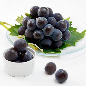 【2026年発送】朝採りピオーネ2房入(約1kg)【配送不可地域：離島】【1394886】