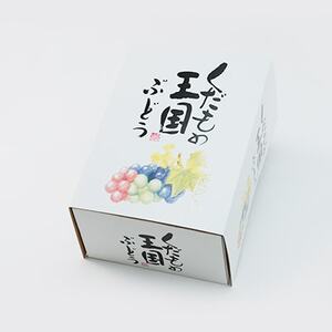 【2026年発送】朝採りピオーネ2房入(約1kg)【配送不可地域：離島】【1394886】