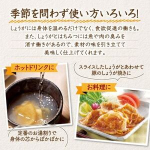 しょうがはちみつ漬900g(26180)【1608901】