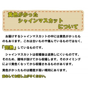 【2026年8月下旬以降順次発送】岡山名産【晴王】シャインマスカット1房約650g秀品!【配送不可地域：離島】【1612175】