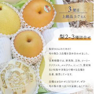 【発送月固定定期便】【2026年先行予約】岡山の桃、ぶどう、梨を産地直送!多品種を楽しむ定期便全3回【配送不可地域：離島・北海道・沖縄県】【4066247】