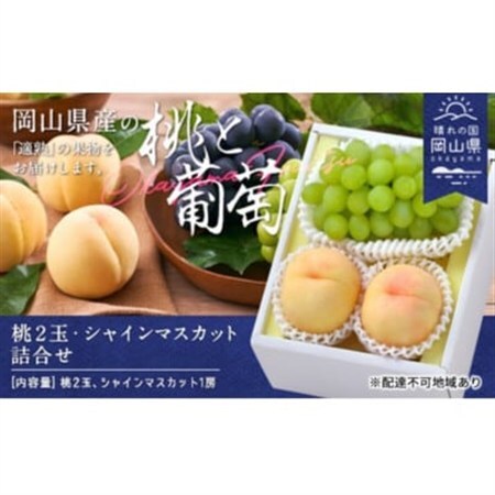 【2026年発送】桃・シャインマスカット詰合せ(白桃2玉・シャインマスカット1房)　合計約1.0kg【配送不可地域：離島】【1614050】