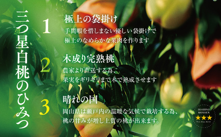 先行受付【清水白桃】岡山県産 三つ星 星乃桃園 1.2kg (4~5玉)【配送不可地域:離島・北海道・沖縄県】【1614283】
