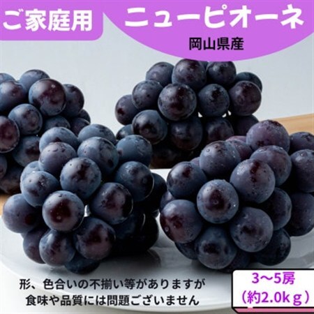 【先行受付】ご家庭用 ニューピオーネ 約2.0kg(3～5房)【配送不可地域：離島】【1614296】