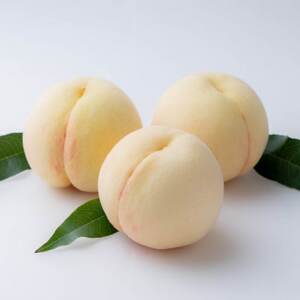 【2026年発送】岡山の白桃(早生種) 大玉3玉(約840g)【配送不可地域:離島】【1614301】