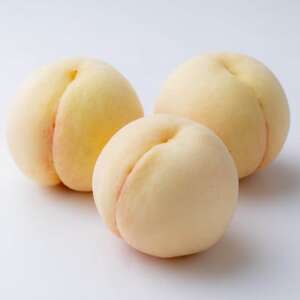 【先行受付】岡山の白桃(晩生種) 大玉3玉(約900g)【配送不可地域:離島】【1614303】