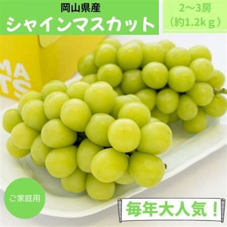 【2026年発送】ご家庭用　岡山県産シャインマスカット(クール便)　約1.2kg(2～3房)【配送不可地域：離島】【1614316】