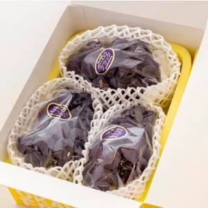 【2026年発送】ご家庭用　岡山県産オーロラブラック(クール便)　約1.2kg(2～3房)【配送不可地域：離島】【1614325】