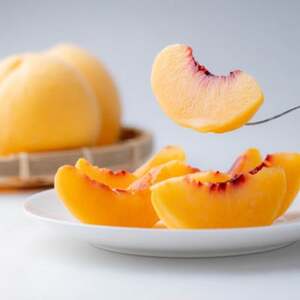 【2026年発送】ご家庭用　岡山県産黄金桃　約1.5kg(5～6玉)【配送不可地域：離島】【1614333】