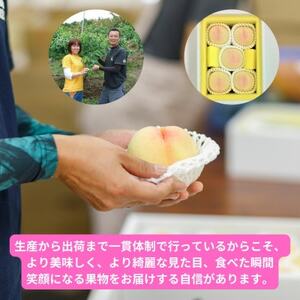 【2026年発送】岡山県産清水白桃 5玉・約1.3kg【配送不可地域:離島】【1614351】