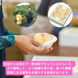 【2026年発送】岡山県産清水白桃　8玉・約2.0kg【配送不可地域：離島】【1614352】