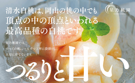先行受付【清水白桃】岡山県産 三つ星 星乃桃園 780g (3玉)【配送不可地域：離島・北海道・沖縄県】【1614286】