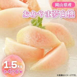 【先行予約】2026年8月上旬頃より発送予定・岡山の白桃・おかやま夢白桃(1.5kg箱)【配送不可地域:離島】【1580278】