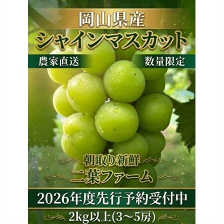 【2026年先行受付】岡山のぶどう(シャインマスカット)2kg(3～5房)【配送不可地域：離島】【1617939】