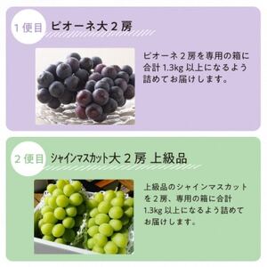 【発送月固定定期便】【2026年先行予約】ピオーネとシャインマスカットの大2房が届く(岡山産)全2回【配送不可地域:離島】【4067477】