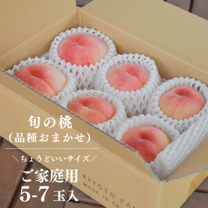 【発送月固定定期便】【2026年先行予約】桃と葡萄どっちも食べたい便!【お試し便】(岡山県産)全2回【配送不可地域：離島・北海道・沖縄県】【4067481】