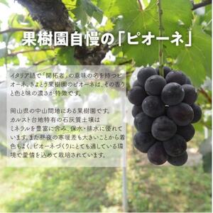 【発送月固定定期便】【2026年先行予約】ピオーネとシャインマスカット大2房の定期便(岡山産)全2回【配送不可地域：離島】【4067688】