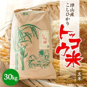 【突鉱土育ち】津山産トッコウ米(こしひかり)玄米30kg【1361987】