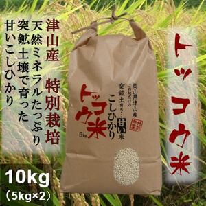 【突鉱土育ち】津山産トッコウ米(こしひかり)10kg【1361989】