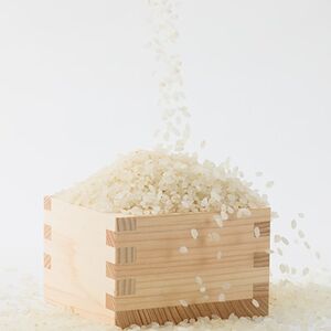 【突鉱土育ち】津山産トッコウ米(こしひかり)5kg【1361991】