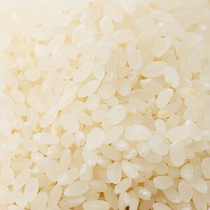 【突鉱土育ち】津山産トッコウ米(こしひかり)5kg【1361991】