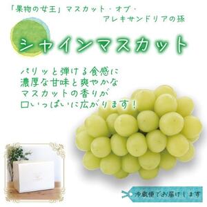 【2026年先行受付】岡山　花笑み農園の 『シャインマスカット』1kg(2房)　S-1【配送不可地域：離島・北海道・沖縄県】【1628313】