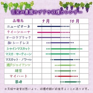 【2026年先行受付】岡山　花笑み農園『シャインマスカット＆BKシードレス』1kg(2房)BS-1【配送不可地域：離島・北海道・沖縄県】【1628317】