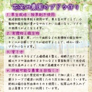 【2026年先行受付】岡山　花笑み農園のブドウ『訳ありBKシードレス』1kg　WB-1【配送不可地域：離島・北海道・沖縄県】【1628322】