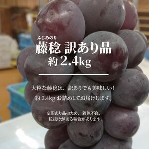 【2026年先行予約】訳あり 種なし ボッケーネ(藤稔) 約2.4kg (岡山県産)【配送不可地域：離島】【1632754】