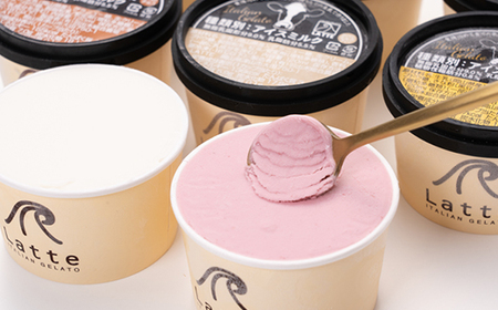 羽出木総合農場直営!イタリアンジェラート120ml 8種詰合わせ【配送不可地域:離島】【1105480】