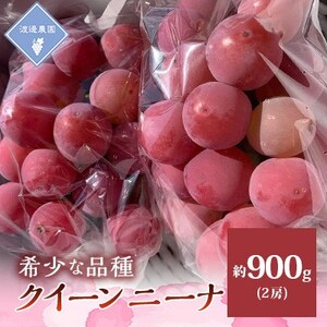 【先行予約 2026年発送】岡山県産　クイーンニーナ 2房 合計約900g【配送不可地域：離島】【1562286】