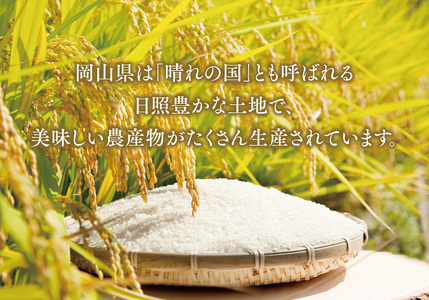 おいしいお米(5kg)無洗米　リピーター続出【1647875】