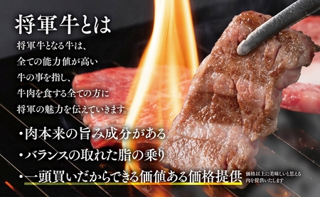 【将軍牛】特選焼肉セット ロース カルビ もも 3種類 500g【配送不可地域:離島・北海道・沖縄県】【1652110】