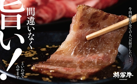 【将軍牛】特選焼肉セット ロース カルビ もも 3種類 500g【配送不可地域:離島・北海道・沖縄県】【1652110】