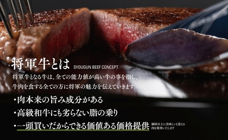【将軍牛】特選ヒレステーキ 300g【配送不可地域：離島・北海道・沖縄県】【1653413】