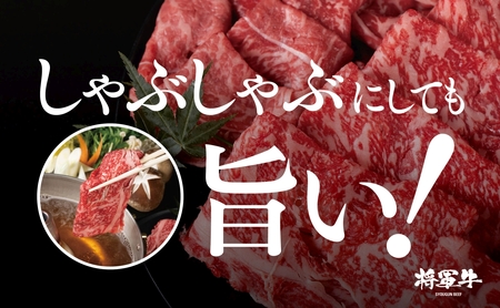 【将軍牛】国産牛 切り落とし 1kg【配送不可地域：離島・北海道・沖縄県】【1653598】